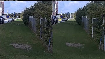 Axis Q3505-VE   Analytics demo video