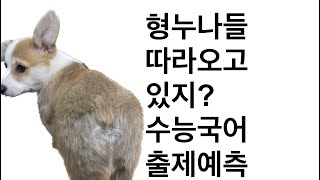 #출제예측 #점도 #수능국어 최근 평가원 지문은 범교과로서 국어과의 가치가 극대화 되는 시험이다 #23학년도ebs수특