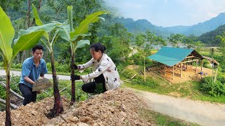 Build a new farm: Build steel fences, Plant more fruit trees | Family farm.