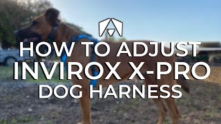 INVIROX X-PRO DOG HARNESS | How to Measure, Put on & Adjust the X-PRO Harness