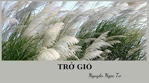 Trở gió - Nguyễn Ngọc Tư