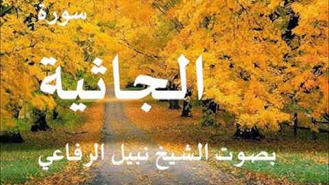 سورة الجاثية بصوت الشيخ نبيل الرفاعي 45