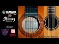 Las 2 mejores Guitarras electroacústicas que vas a escuchar en tu vida!