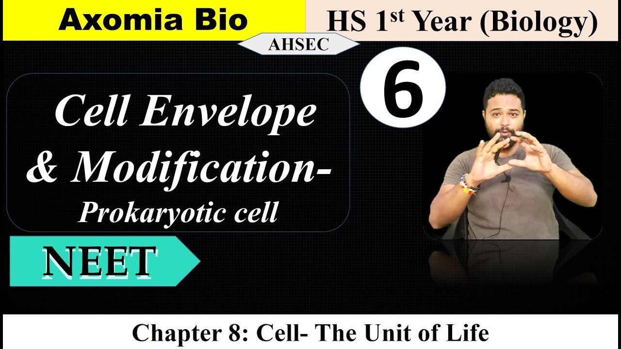 Prokaryotic Cell- Cell envelope & its Modification| HS biology| Dr. Rajib Borah| Axomia Bio