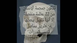 عدد عظام الجمجمة