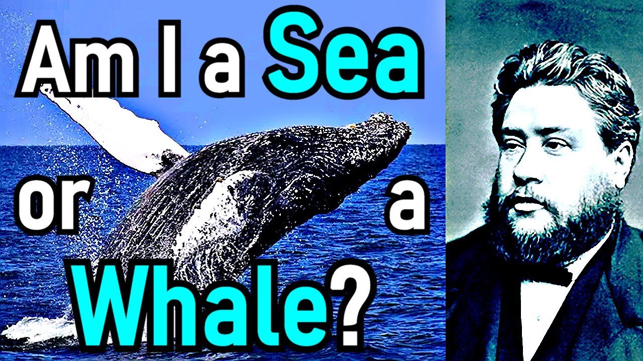 Am I a Sea, or a Whale? - Charles Haddon (C.H.) Spurgeon Sermon