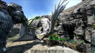 dxstory with mainconcept codec and lagarith lossless