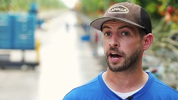 Intergrow Greenhouses Recruiting Video