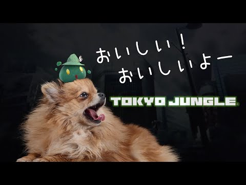 わんわん物語【TOKYO JUNGLE】