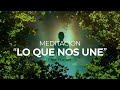 Lo Que Nos Une 🤝 Meditación Guiada 🧘🏻‍♀️  con Elsa Punset