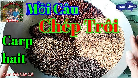 Bài Mồi ngủ cốc chuyên Câu Cá trôi, Rô Phi, Chép Đã thử nghiệm hiệu quả và vi diệu