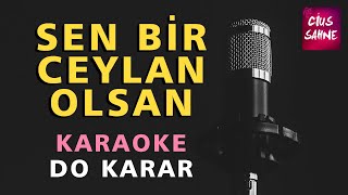 SEN BİR CEYLAN OLSAN (Aşık Veysel) Karaoke Altyapı Türküler - Do Resimi