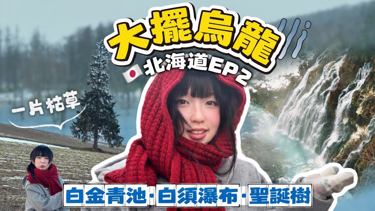 【🇯🇵北海道1天3個景點累嗎？】大雨下不停🌧️北海道景點人擠人！到富良野還摸了門釘，只好打道回府🥲這一天行程有點遭罪…