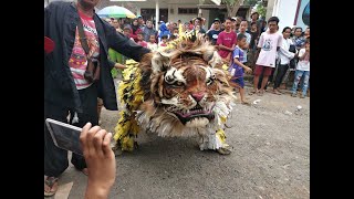 Jaranan Kudho Saputro Sardulo Yakso macan Banyuwangi Live Sumberayu Muncar