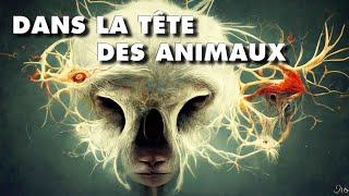 à quoi PENSENT LES ANIMAUX ?