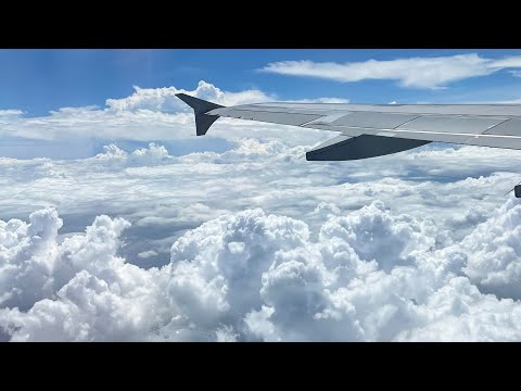 Flying Above Clouds | View From Airplane Window #philippineairlines #beautiful #sky