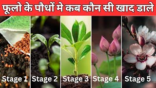 फूलों के पौधों में कब और कौन सी खाद डालें / When to apply which fertilizer to flower plants