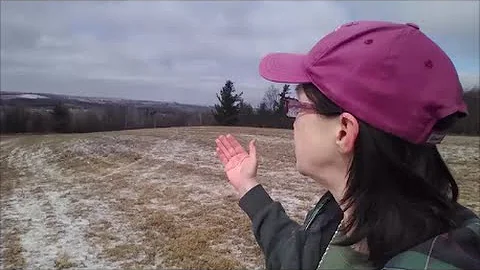 01 Vera Carter - How to Read the Wind - Intro