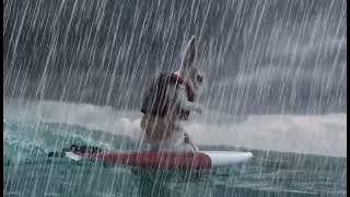 833289e97d88fc386597a172ab5546