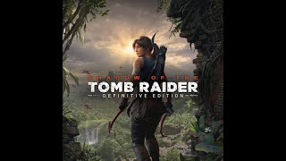 Linux Gaming - Shadow of Tomb Raider Benchmarks - Feral3D vs ProtonGE vs Proton #LinuxGaming #Proton