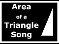 Understanding the Video Transcript