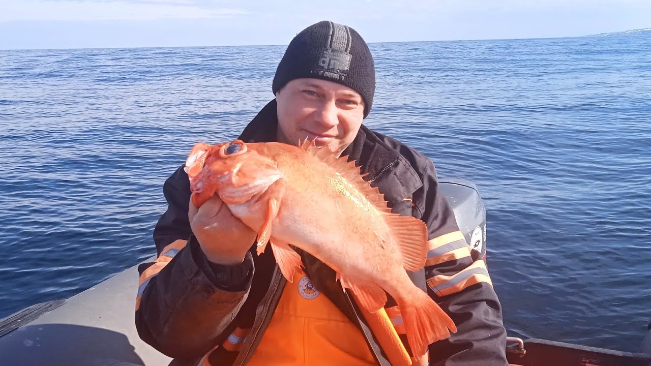 Англия ловила рыбу в баренцевом море. Морская рыбалка Териберка. Рыбалка трески на Баренцевом море. Рыбак Баренцево море. Морская рыбалка и дайвинг.