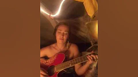 Rosco the Chihuahua and the Amazing Cassie Lewis-O...