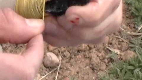 Projectile Point Story