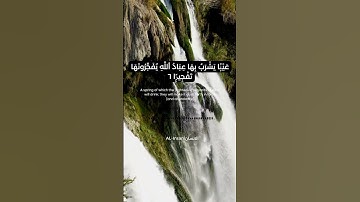 سورة الانسان | Surah Al Insan