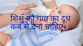 शिशु को गाय का दूध कब से देना चाहिए। when cow's milk use for babies?