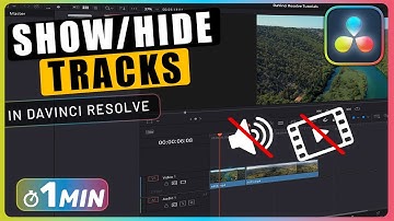 How to MUTE Audio or HIDE Video Tracks in Davinci Resolve