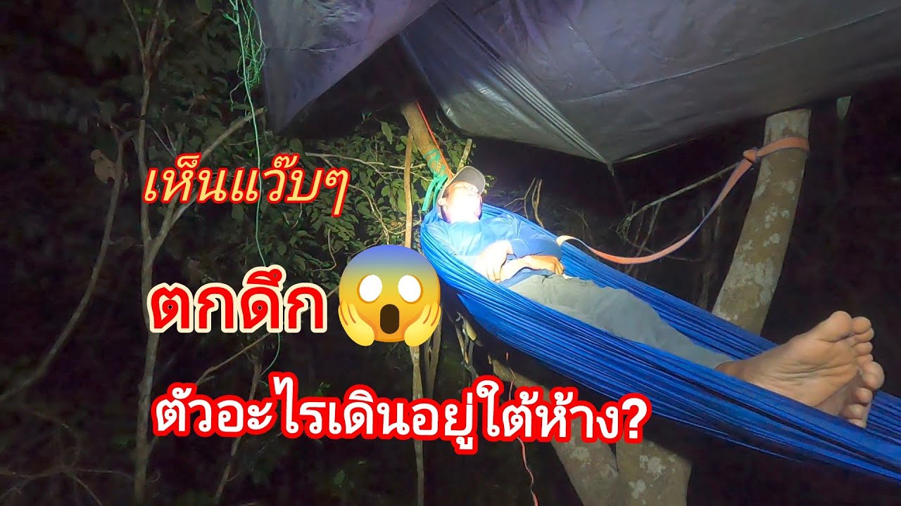 เผลอนอนหลับ ตกดึก มีอะไรเดินย่องมาใต้ห้าง ตื่นเอากล้องส่องหาดู !? 😲 09/03/69