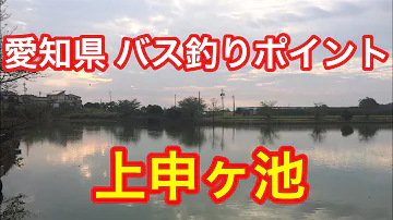تحميل 愛知 池 釣り