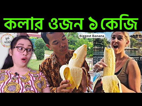 ভিডিও: মুসা কলা কি ভোজ্য?