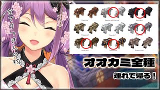 【MINECRAFT 】にじ鯖 オオカミ集めの続き！【にじさんじ/桜凛月】