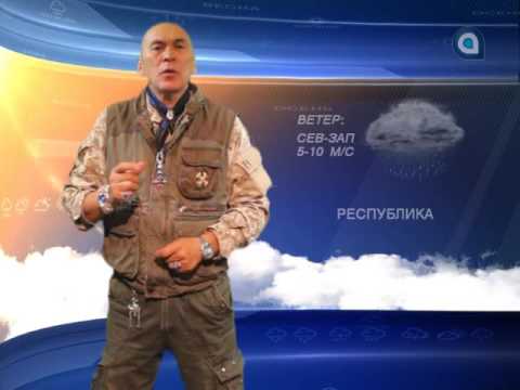 Прогноз на 8.09.2016