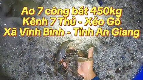 Ao 7 công bắt 450kg tôm càng lúc 4 giờ sáng tại kênh 7 thủ Xã Vĩnh Bình - Tỉnh An Giang