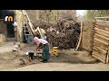 Simple and Pure Village Life Afghanistan - Cooking Chicken Qurma