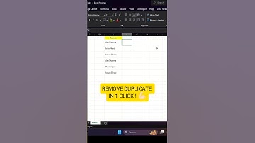 Remove Duplicates in Excel with One Click | Excel Tips for Beginners