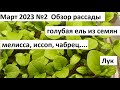 Март 2023 №2  Рассада.