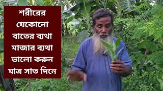 বাতের ব্যথা ভালো করার মহা ঔষধি গাছ screenshot 3