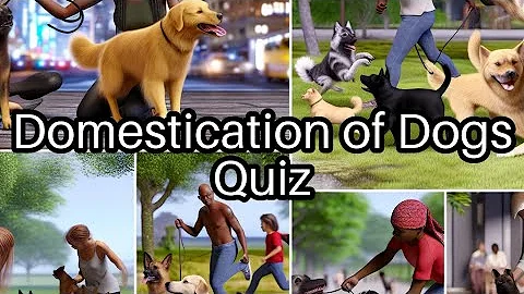 🐾 Test Your Knowledge: How Well Do You Know Dogs? Take the Challenge! 🐶