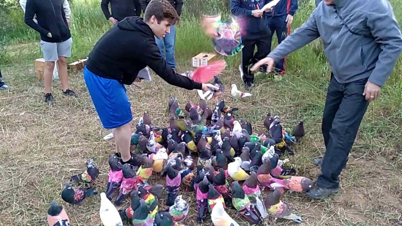 Memorial  Palomos Deportivos Fernando, Baltasar y Pepe