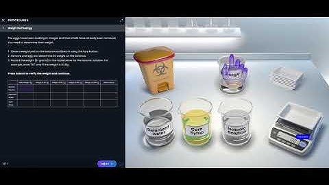 Pearson Interactive Labs | Diffusion & Osmosis