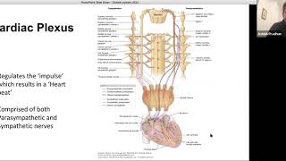 Medical Insights into Meditation 5: Cardiac Plexus