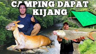 Camping hujan deras dapat kijang fishing pertualangan dalam hutan bermalam masak dan makan 