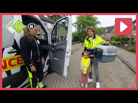 DE DIERENAMBULANCE |