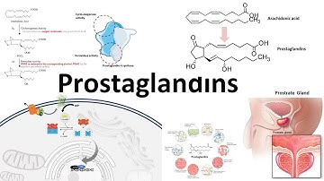 Prostaglandins : Biosynthesis,function and regulation