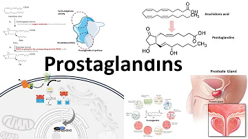 Dove troviamo le prostaglandine?