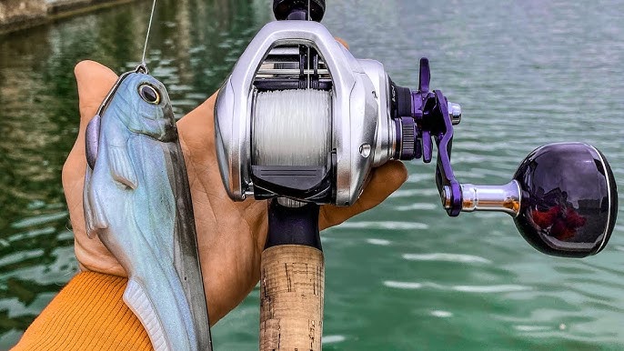 NEW $300 SHIMANO TranX 400HG FISHING REEL + Huddleston Swimbait + PALOMAR  knot Tips (Review) 